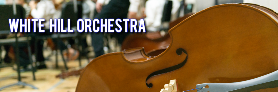 WHorchestra 