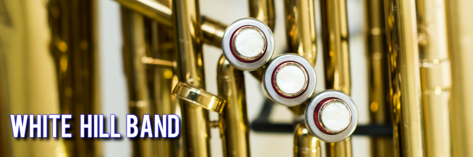 WHband 
