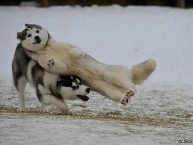 hhjk 