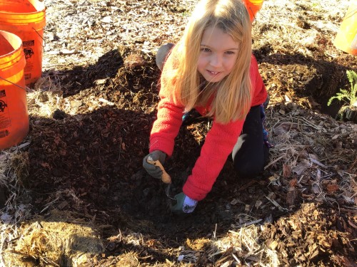 Student planting trees