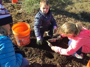 Students planting plants 